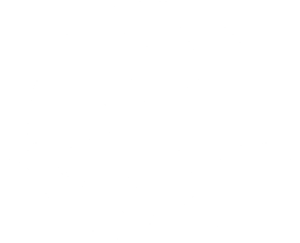Rejuvenescents